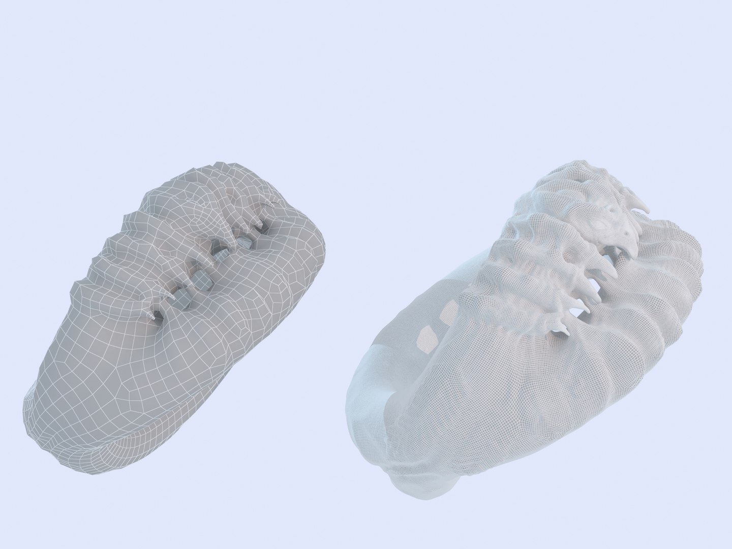 Ring Bird Model - TurboSquid 1609188