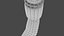 Serpulid Tubeworm