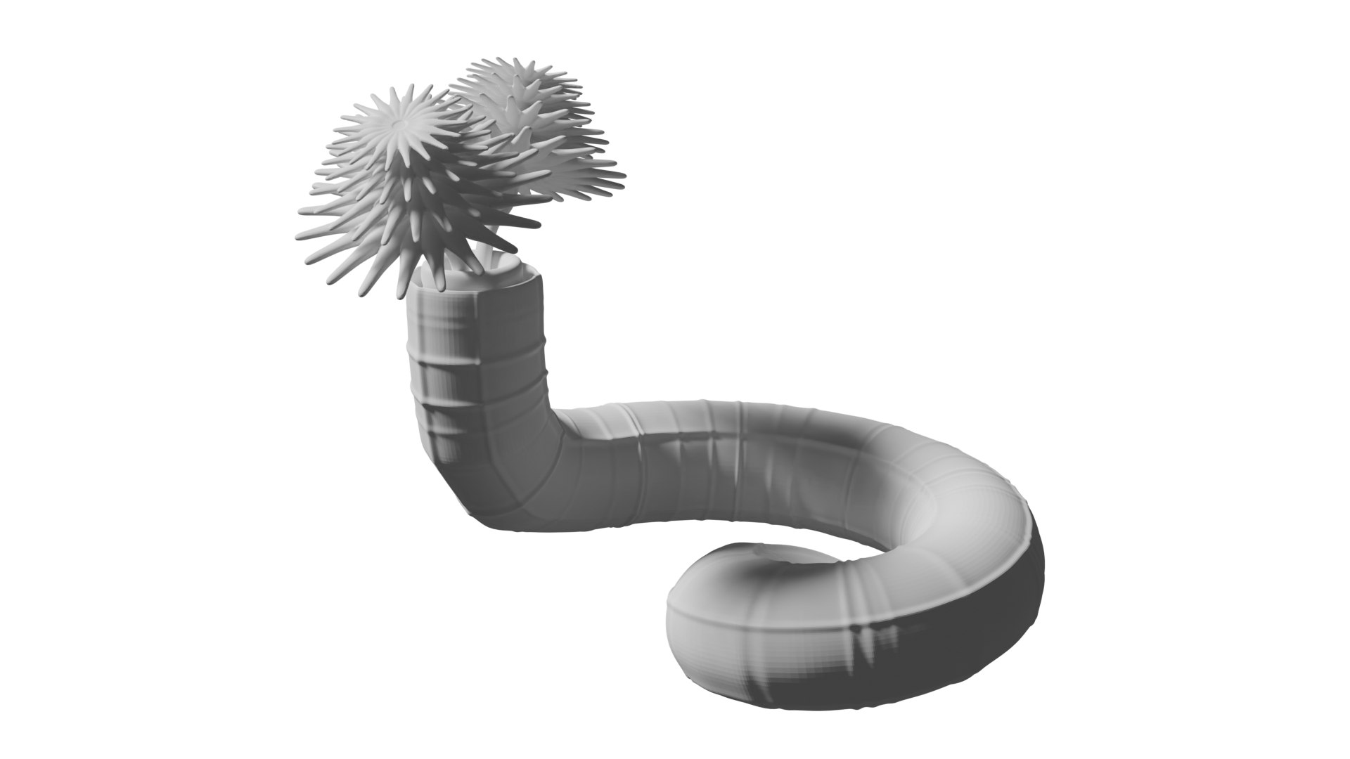 Serpulid Tubeworm 3D model https://p.turbosquid.com/ts-thumb/pf/VHGRPr/Vu/6/png/1721963417/1920x1080/fit_q87/c3ecde389bf3d80fa4650624ab2bbfe9079449e7/6.jpg