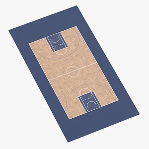 Basketball Surface 05