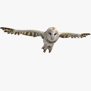 3ds max barn owl rigged