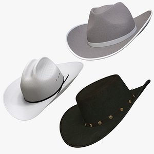 3D Wild West Style Hat Pack model