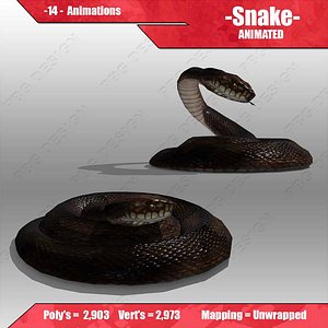 Snake Animated