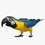 Ara Ararauna 'Blue-and-yellow Macaw Parrot'