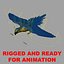 Ara Ararauna 'Blue-and-yellow Macaw Parrot'