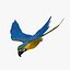 Ara Ararauna 'Blue-and-yellow Macaw Parrot'