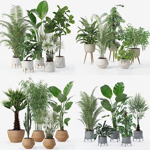 20 Photorealistic Flowers for Interiors - set 120 121 124 130