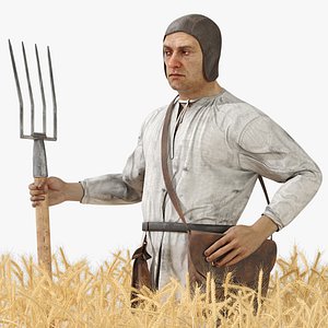 Medieval Farmer in Field 3D