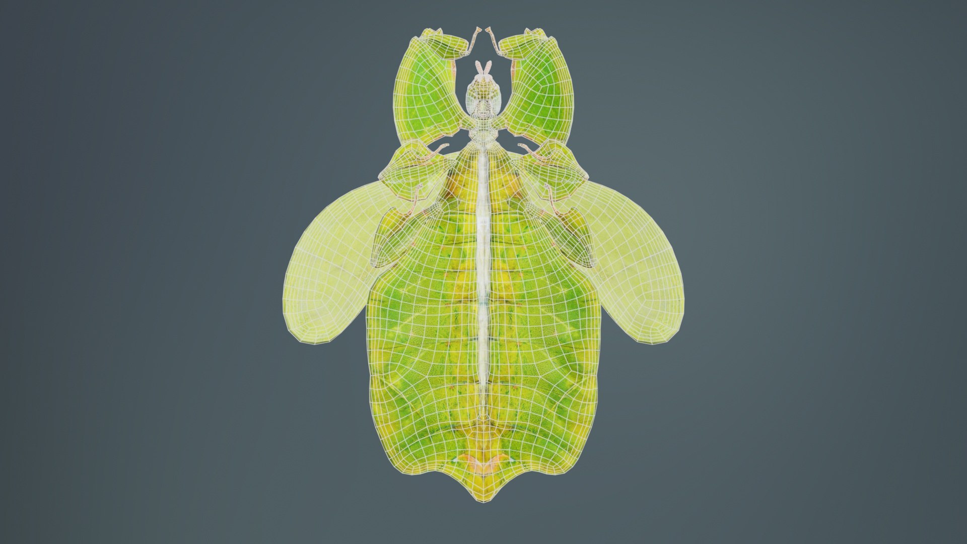 Walking Leaf Phylliidae Leaf Insect Remastered 3D Model - TurboSquid ...