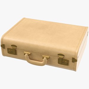 Vintage Luggage 03