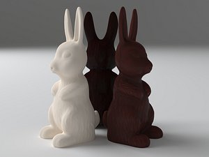 Chocolate bunny