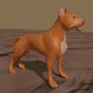 rigged model