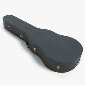 Guitar Case