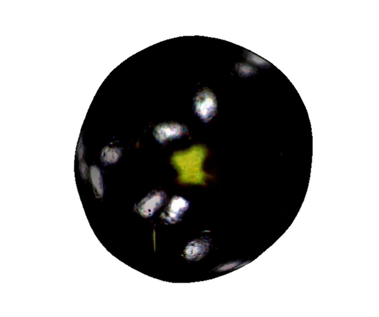 eggplant 3D https://p.turbosquid.com/ts-thumb/pg/PIWOk6/r9Iwg7bc/5/png/1592303641/1920x1080/fit_q87/897470e4ebe1d168975321aacd90533d07f14217/5.jpg