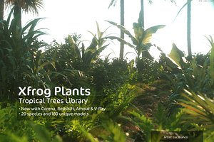 2020 XfrogPlants Tropical Trees and Plants