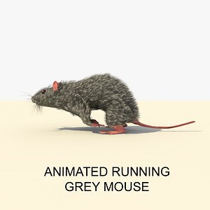 DOWNLOAD MOUSE 3D MODEL PRINTING MOUSE ANIMATED MOUSE