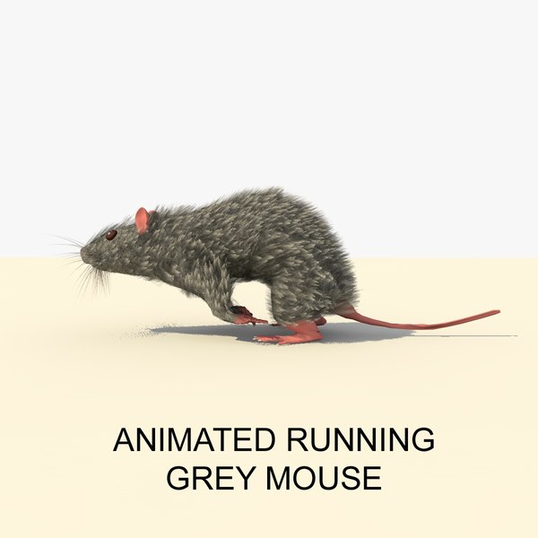 modelo 3d Animado corriendo ratón gris - TurboSquid 946462