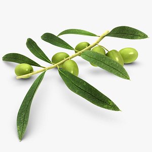 olive green black 3d model