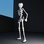 Skeleton