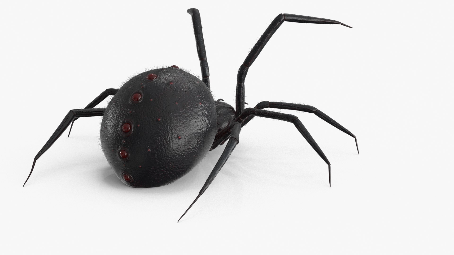 Spider Model - TurboSquid 2148854