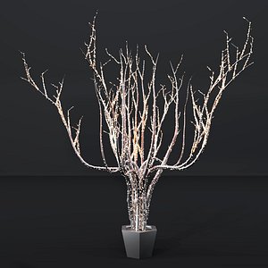 3D outdoor lighting installation trees