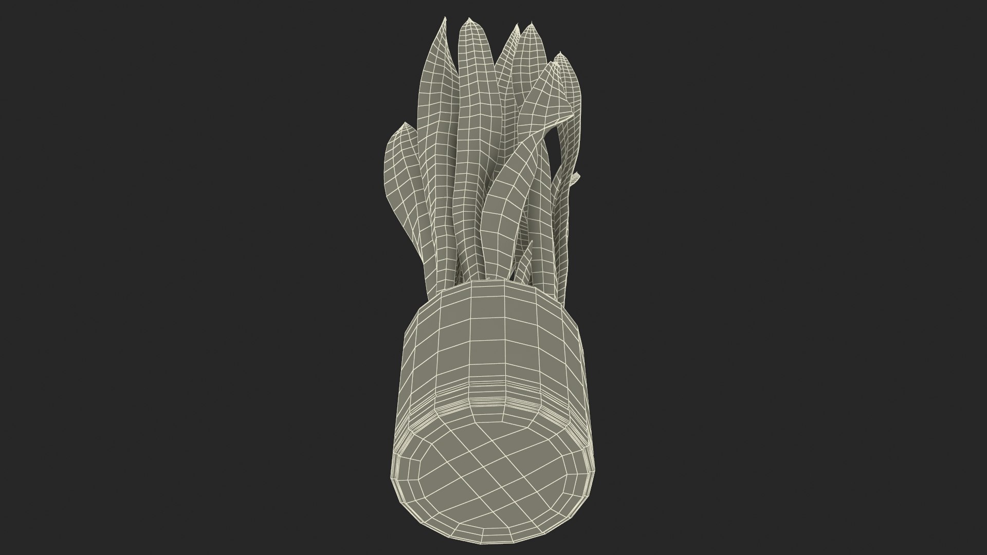 3D Saint Georges Sword Plant model https://p.turbosquid.com/ts-thumb/ph/8B4JHW/2C/saintgeorgesswordplantc4dmodel039/jpg/1693780524/1920x1080/fit_q87/c22da36413e2d3210df0a47f282703fe6e01e7b3/saintgeorgesswordplantc4dmodel039.jpg