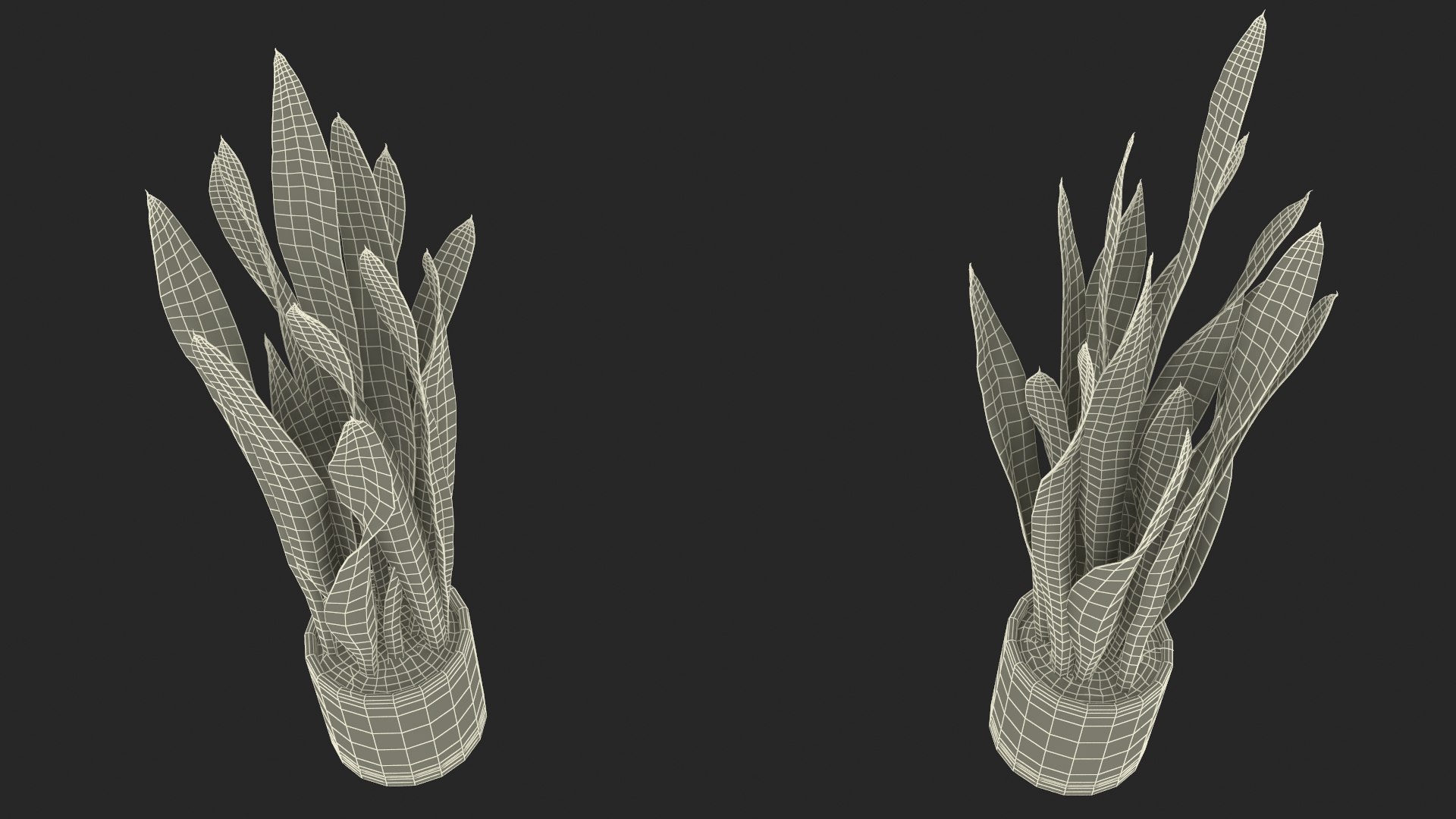 3D Saint Georges Sword Plant model https://p.turbosquid.com/ts-thumb/ph/8B4JHW/KW/saintgeorgesswordplantc4dmodel036/jpg/1693780514/1920x1080/fit_q87/0bbfefb2c25684d2fc3c4210f6d7d386c61c68ca/saintgeorgesswordplantc4dmodel036.jpg