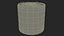 Saint Georges Sword Plant