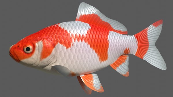 Nanoblock Poisson rouge et blanc - Wakin Goldfish red NBC 223