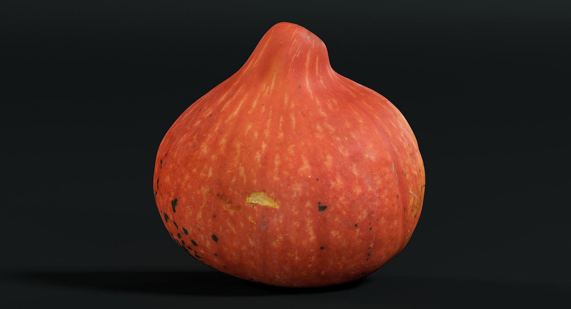 realistic pumpkin small 2 3D model https://p.turbosquid.com/ts-thumb/ph/AtoQgC/pr2zenOG/_view110012/jpg/1571392823/1920x1080/fit_q87/ee53da00f8974203dbaa7c55e0d852b70aa6f7af/_view110012.jpg