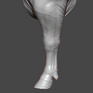 3D Bull Front Leg Highpoly Sculpt model