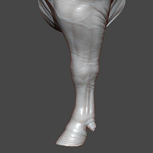 Bull Front Leg Highpoly Sculpt