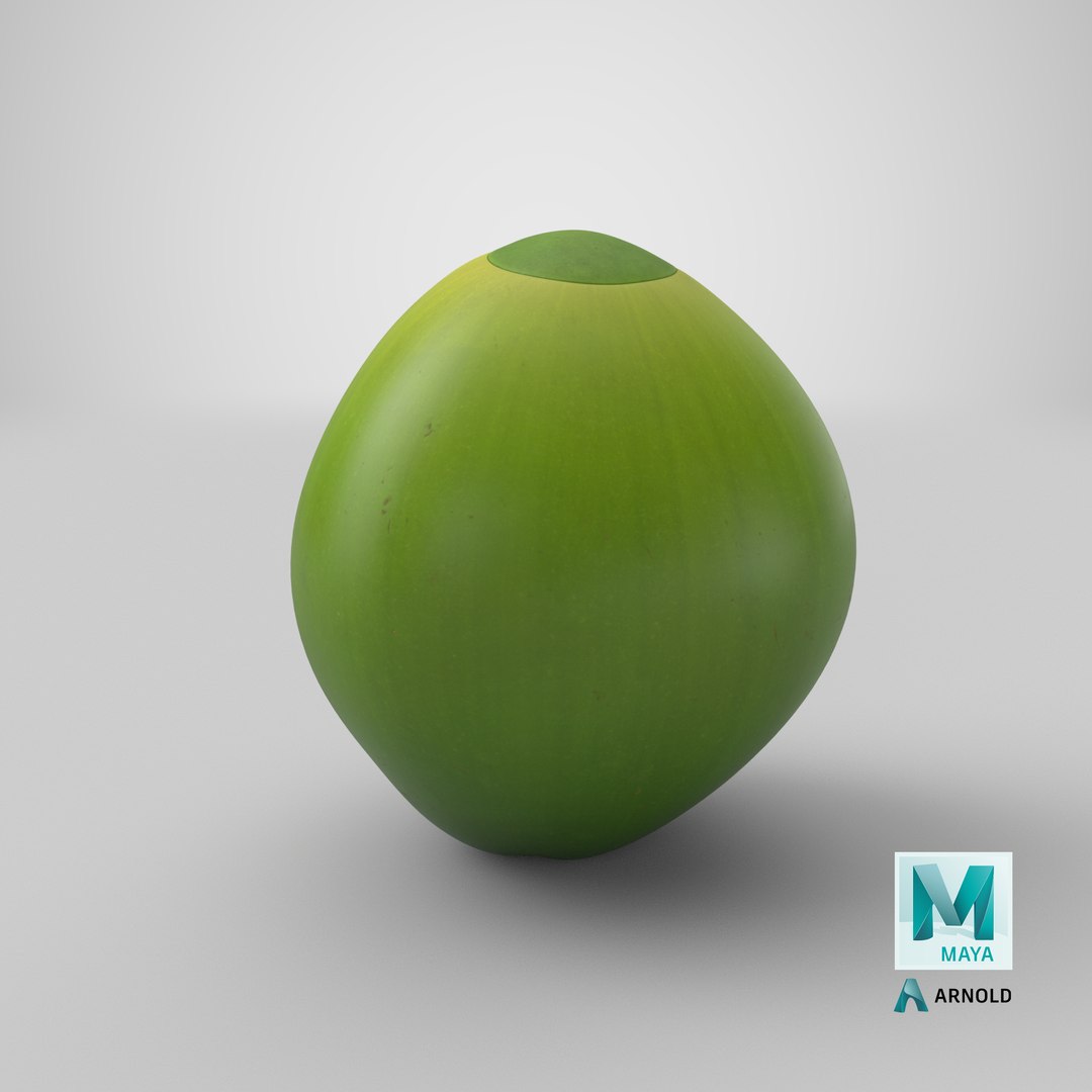 Cartoon Green Coconut 3D model https://p.turbosquid.com/ts-thumb/ph/G20Llv/7l/stemcell_maya_arnold_render/png/1691737800/1920x1080/fit_q87/0dd6a8beec6e8b3b3be168121f764937894c1ec7/stemcell_maya_arnold_render.jpg