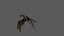 Dragon Animated