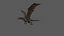 Dragon Animated