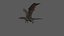 Dragon Animated