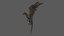 Dragon Animated