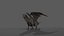 Dragon Animated