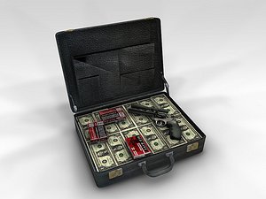 3d suitcase case cash model