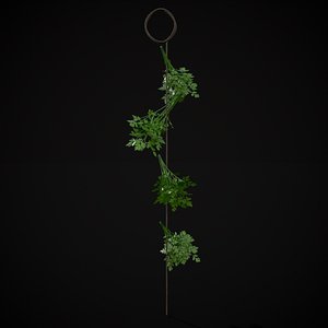 3D Hanging Parsley model