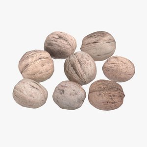 3D model Whole walnut shells
