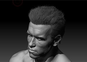 Arnold Schwarzenegger