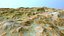Landscape 43