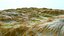 Landscape 43