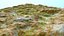 Landscape 43