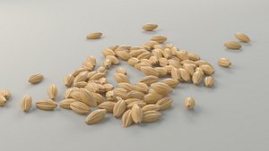 3d grain model