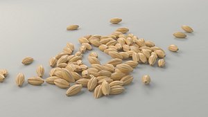 Grain