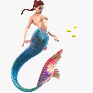 3D Mermaid rigged