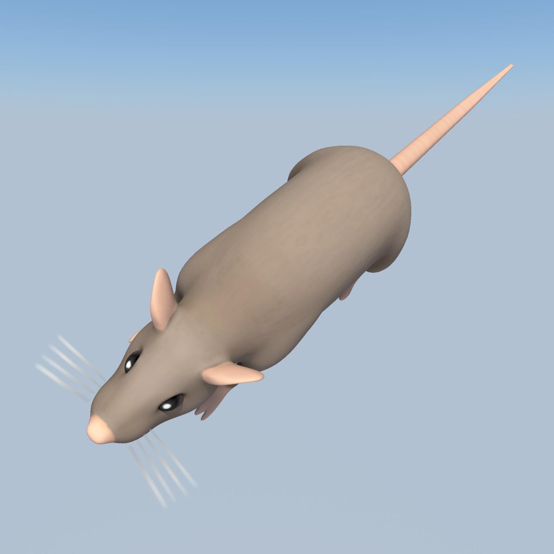 3d Rat