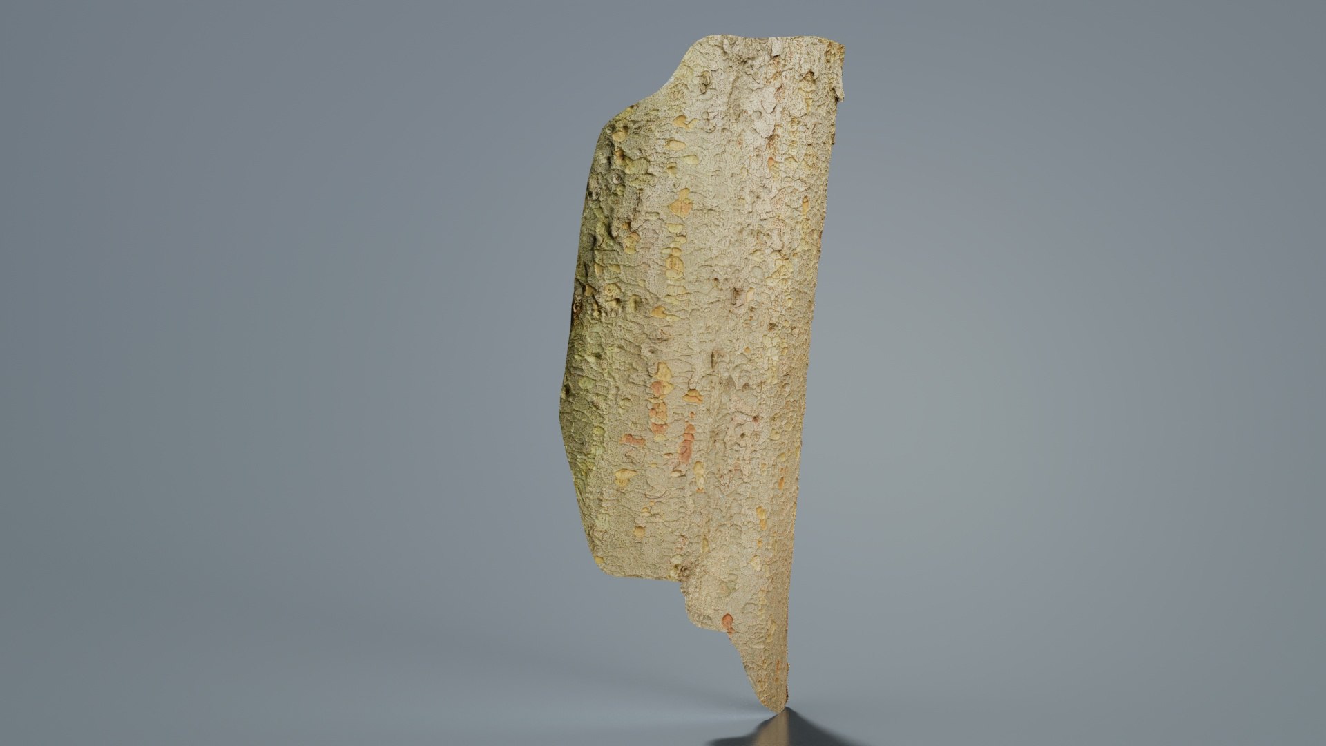 Orange Islands Bark Remastered 3D https://p.turbosquid.com/ts-thumb/pi/7ngrOB/Be/orange_islands_bark_04/jpg/1740402381/1920x1080/fit_q87/ef8de2ffad67ed7543098ba9037f81812abd9901/orange_islands_bark_04.jpg